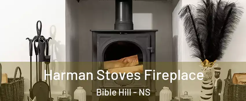  Harman Stoves Fireplace Bible Hill - NS