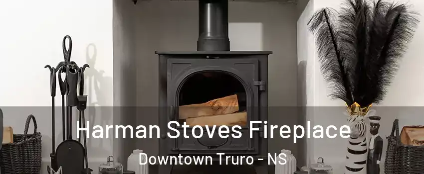  Harman Stoves Fireplace Downtown Truro - NS