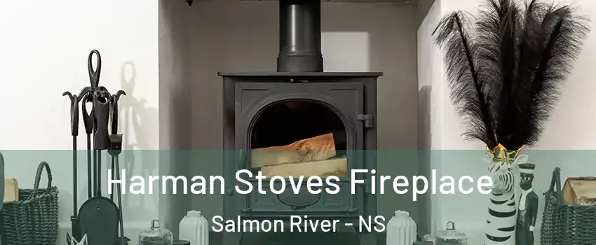  Harman Stoves Fireplace Salmon River - NS