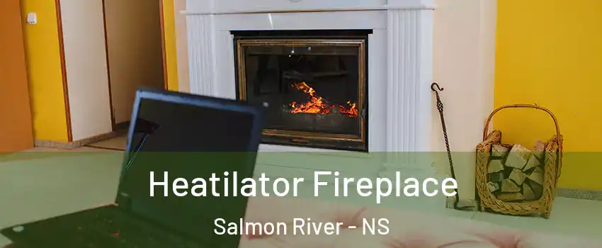  Heatilator Fireplace Salmon River - NS