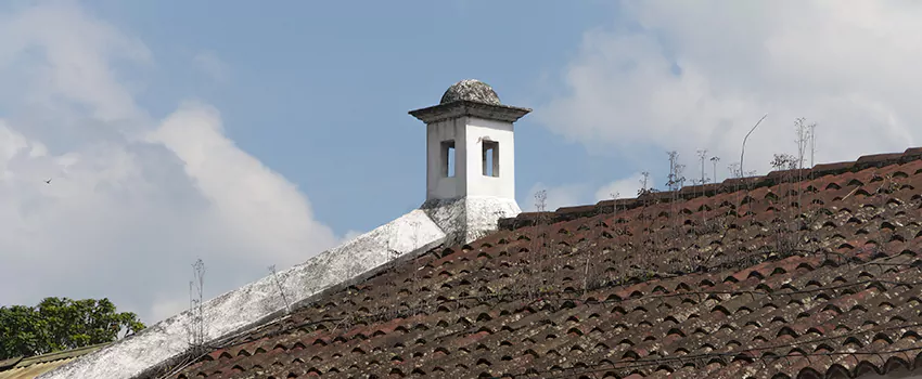Wind-Resistant Chimney Caps Installation and Repair Services in Millbrook, Nova Scotia