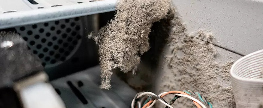 Clogged Dryer Vent Lint Cleaning in Millbrook, Nova Scotia