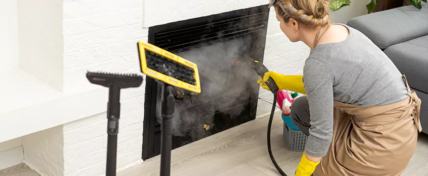 Fireplace Doors Cleaning in Millbrook, Nova Scotia