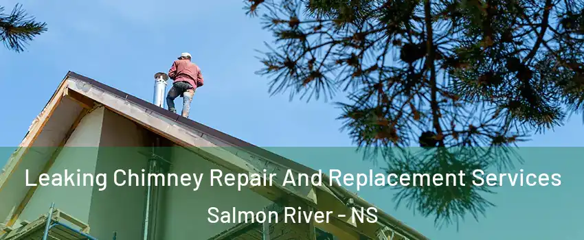  Leaking Chimney Repair And Replacement Services Salmon River - NS
