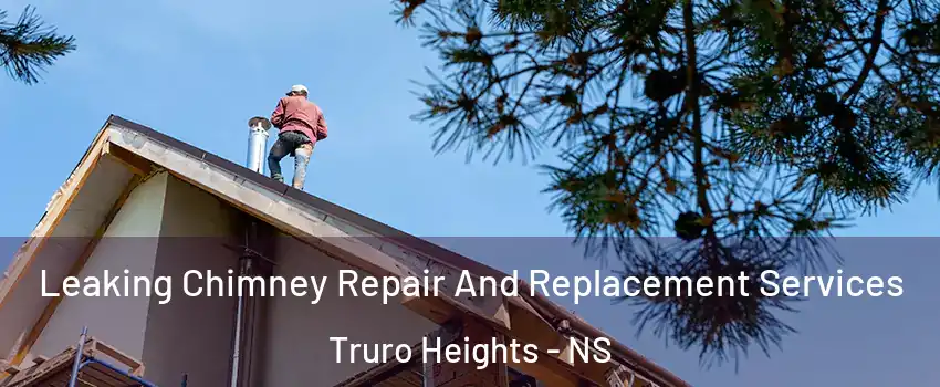  Leaking Chimney Repair And Replacement Services Truro Heights - NS