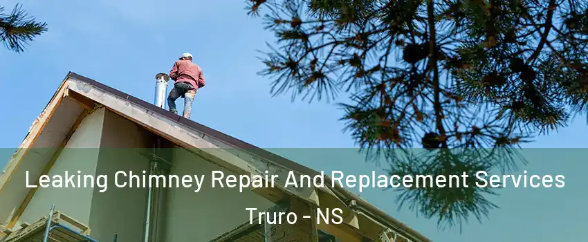  Leaking Chimney Repair And Replacement Services Truro - NS
