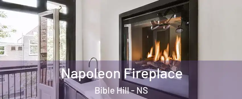  Napoleon Fireplace Bible Hill - NS