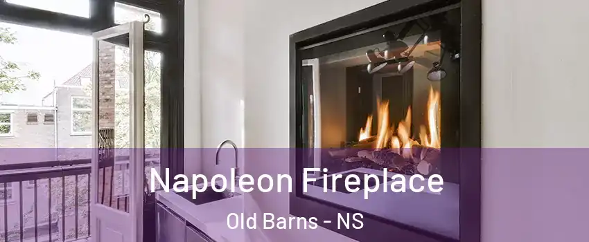  Napoleon Fireplace Old Barns - NS