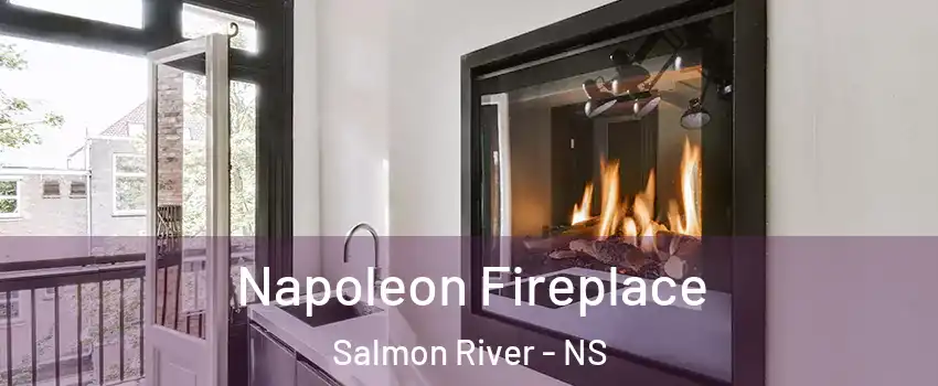 Napoleon Fireplace Salmon River - NS