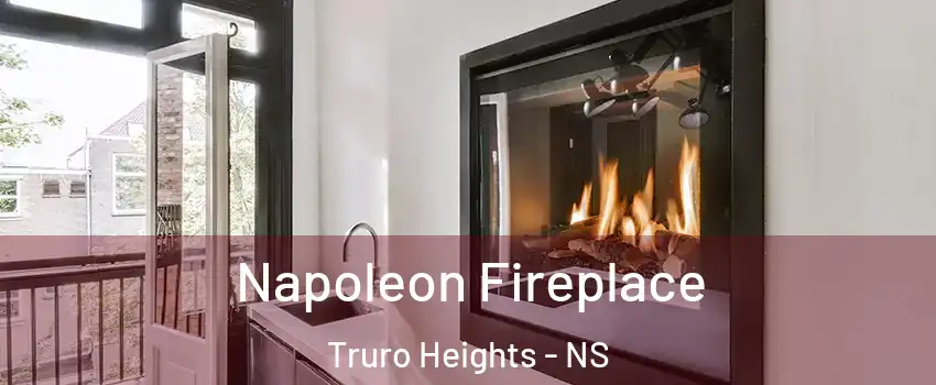 Napoleon Fireplace Truro Heights - NS