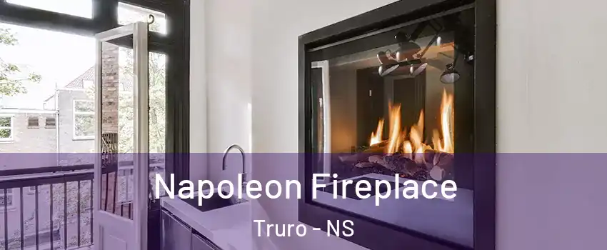  Napoleon Fireplace Truro - NS