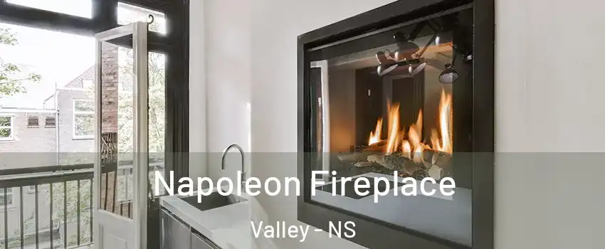  Napoleon Fireplace Valley - NS