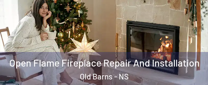  Open Flame Fireplace Repair And Installation Old Barns - NS