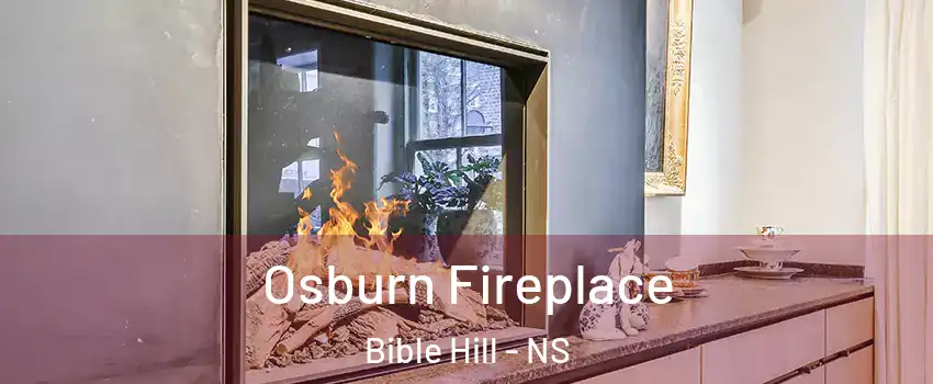  Osburn Fireplace Bible Hill - NS