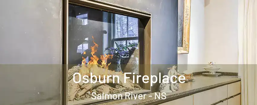  Osburn Fireplace Salmon River - NS