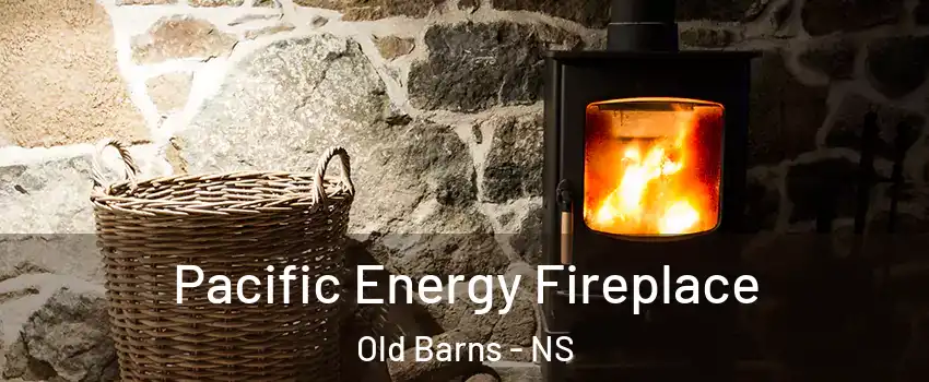  Pacific Energy Fireplace Old Barns - NS