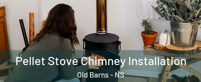  Pellet Stove Chimney Installation Old Barns - NS