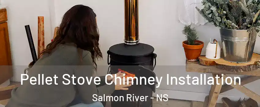  Pellet Stove Chimney Installation Salmon River - NS