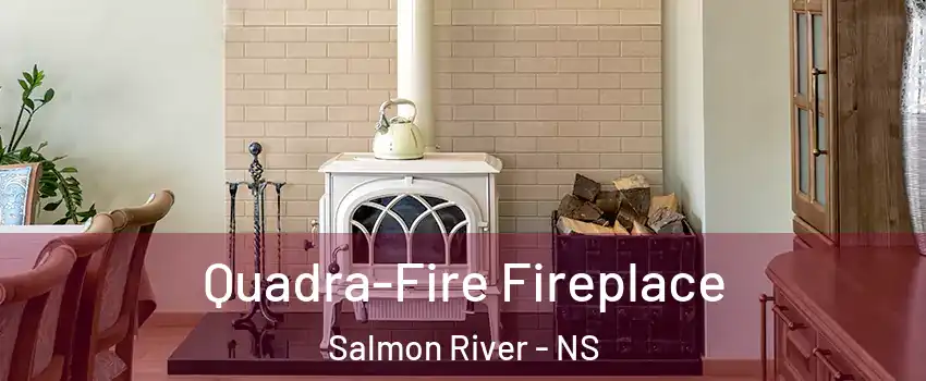  Quadra-Fire Fireplace Salmon River - NS