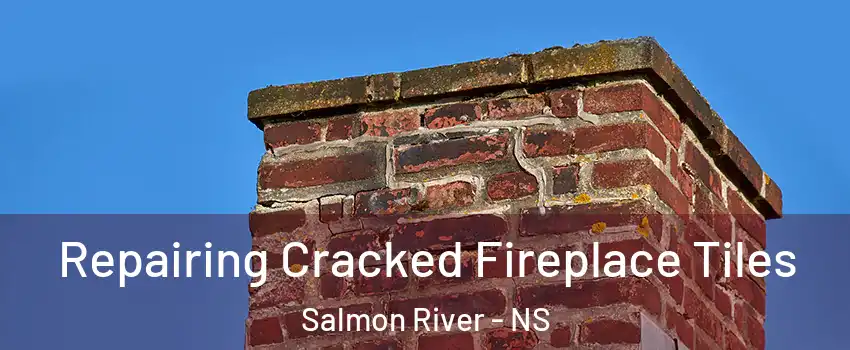  Repairing Cracked Fireplace Tiles Salmon River - NS