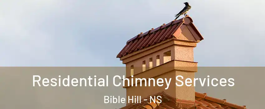  Residential Chimney Services Bible Hill - NS