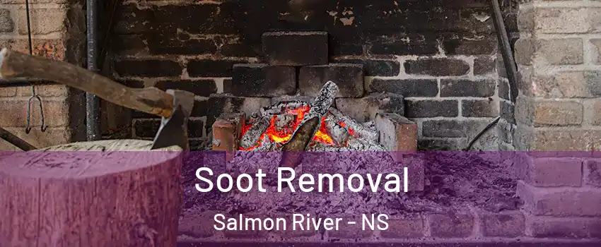  Soot Removal Salmon River - NS