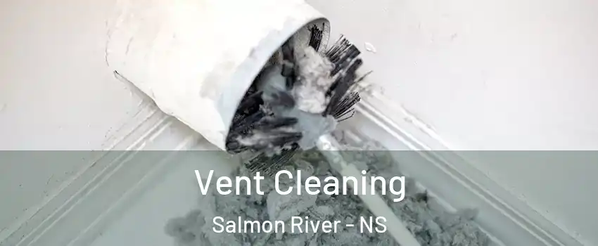  Vent Cleaning Salmon River - NS