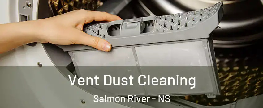  Vent Dust Cleaning Salmon River - NS
