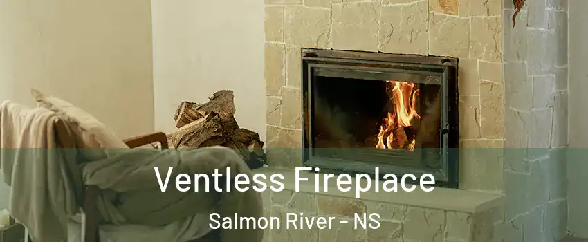  Ventless Fireplace Salmon River - NS