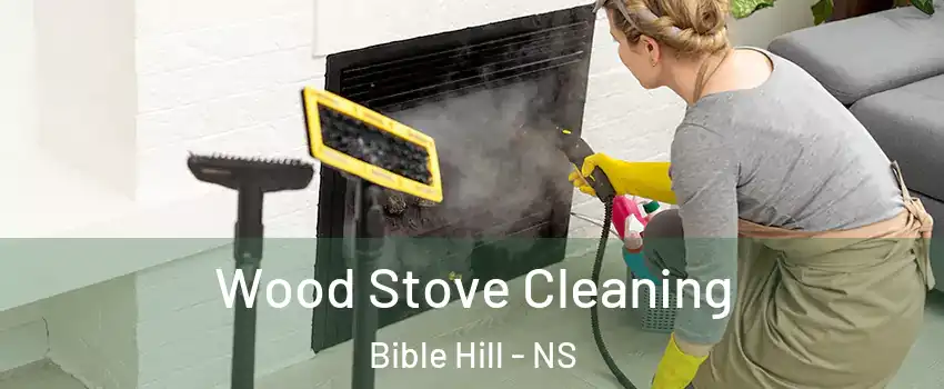  Wood Stove Cleaning Bible Hill - NS