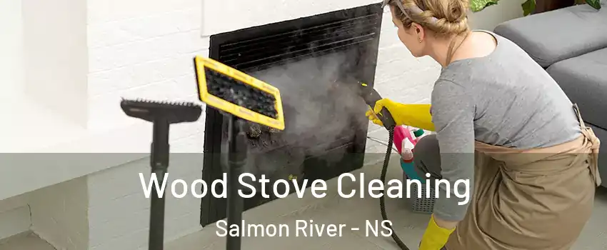  Wood Stove Cleaning Salmon River - NS