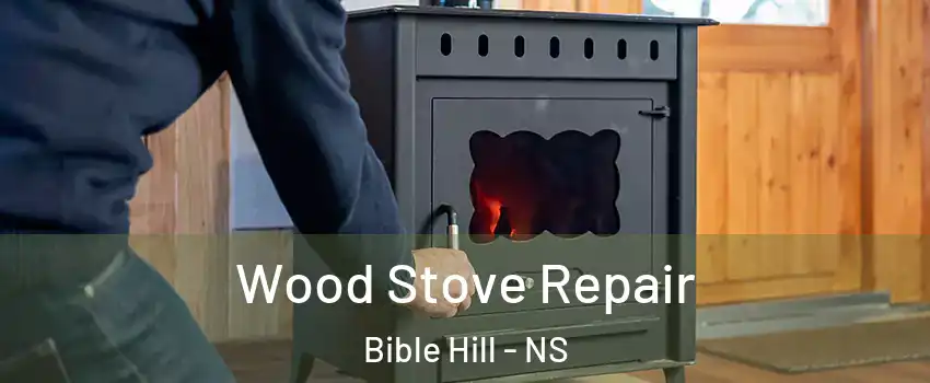  Wood Stove Repair Bible Hill - NS
